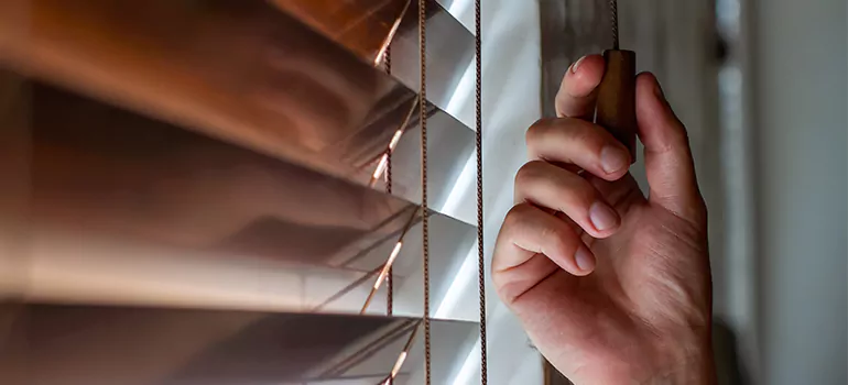 Double Roller Blinds in Daly City, CA