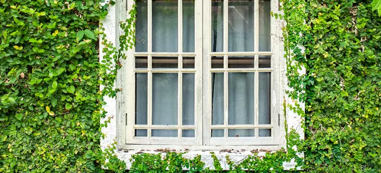 Garden Window Repair Near Me in Daly City, CA